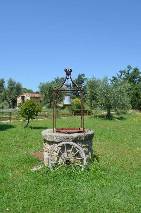 La Casina Degli Olivi Seggiano Exterior foto